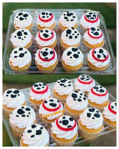 cupcakes with white frosting and panda faces on them in plastic trays