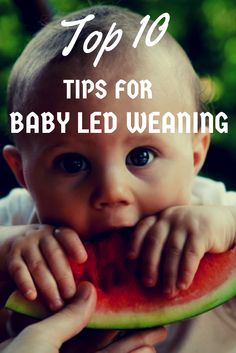 a baby eating a piece of watermelon with the words top 10 tips for baby led weaning