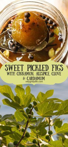 sweet pickled figs with cinnamon, black olive and cardamom in a jar