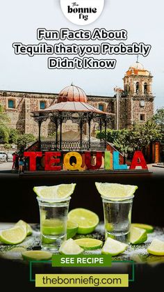 A collection of fun and surprising facts about tequila, exploring its rich history, origins in Mexico, and the unique process of how this popular spirit is made. Perfect for tequila lovers and curious drinkers alike! Mexican Drinks, Fascinating Facts, Surprising Facts, Facts About, The Process, Tequila