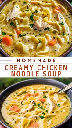 Chicken Recipes: Homemade Creamy Chicken Noodle Soup Homemade Soup With Chicken, Stovetop Chicken Soup Recipes, Chicken Condensed Soup Recipes, Easy Creamy Chicken Noodle Soup Recipe, Chicken Soup With Reames Noodles, Noodleless Chicken Soup, Chicken Noodle Soup Crock Pot Recipe, Chicken Noodle Soup Easy Stove Top