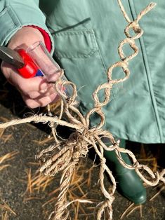 a person cutting rope with scissors on top of hay