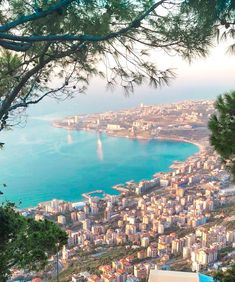 a view of the city and water from top of a hill with trees on it