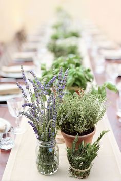 there are many plants in jars on the table