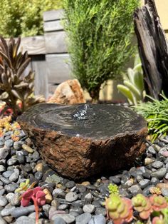 a tree stump sitting on top of a pile of rocks next to plants and trees