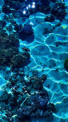 an underwater view of rocks and water with lights shining on the rocks in the background