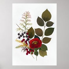 an arrangement of flowers and leaves on a white background