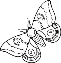 a black and white drawing of a butterfly