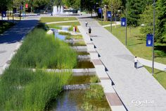 people are walking on the sidewalk near some water and grass in front of a fountain