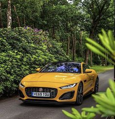 a yellow sports car parked on the side of a road next to bushes and trees