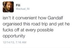 a tweet with the caption that reads, isn't it convenient how gandalf organised this road trip and yet he kicks off at every possible opportunity opportunity