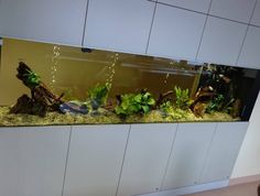 an aquarium filled with plants and rocks on top of a counter next to a wall