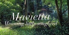 the words mavietta meaning little songbird in front of a forest scene