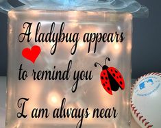 a light up box with a ladybug on it and a baseball in the background