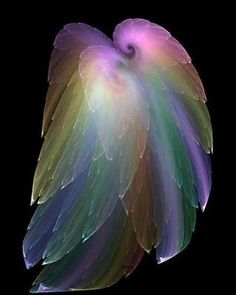 an image of a colorful bird on a black background