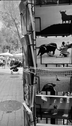 black and white photograph of an outdoor art display