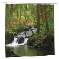 a stream running through a forest filled with lush green trees and mossy rocks shower curtain set