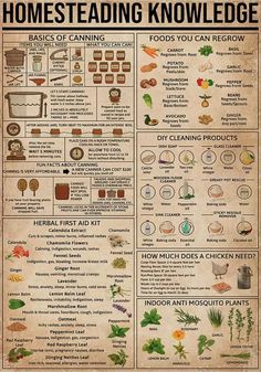 Cooking Hobby, Survival Life Hacks, Survival Life, Camping Ideas, Survival Tips, Useful Life Hacks, Survival Skills, Permaculture