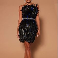 Black Feathered Mini Cocktail Dress. This Dress Has A Strapless Neckline And A Cocktail Silhouette. The Fabric Has A Little Bit Of Stretch. It Can Be Worn For Night Out, And Semi Formal Events. Size Xs Never Worn Sleeveless Mini Dress With Feathers For Club, Sleeveless Feather Dress For Club, Sleeveless Feathered Club Dress, Feathered Sleeveless Club Dress, Black Strapless Dress With Feathers, Sleeveless Feathered Mini Dress For Cocktail, Sleeveless Mini Dress With Feathers For Cocktail, Sleeveless Feathered Cocktail Mini Dress, Feathered Sleeveless Mini Dress For Cocktail