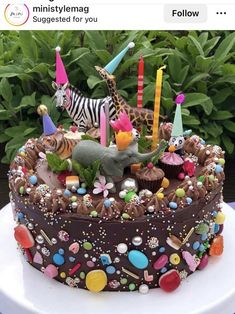 a birthday cake decorated with animals and candles