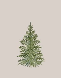 a green christmas tree with snow on the top and bottom branches, in front of a gray background