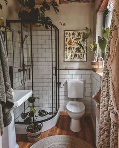 a white toilet sitting next to a shower in a bathroom on top of a hard wood floor