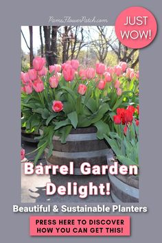 the cover of just wow magazine features tulips and other flowers in large barrels