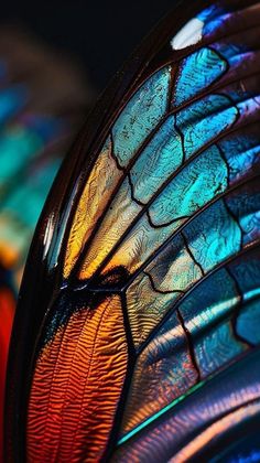 the colorful wings of a butterfly are visible