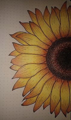 a drawing of a sunflower on a sheet of paper