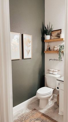 a white toilet sitting in a bathroom next to a wooden shelf filled with potted plants