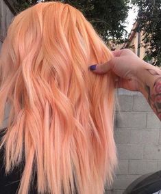 Peach Hair Pastel, Pastel Orange Hair Color, Peach Orange Hair Color, Fun Work Appropriate Hair Color, Peach Coloured Hair, Blorange Hair Copper, Pastel Orange Hair Peach, Peach Hair Color Ideas, Pastel Peach Hair Color