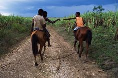 two people riding horses on a dirt road in the middle of a grassy field with tall grass