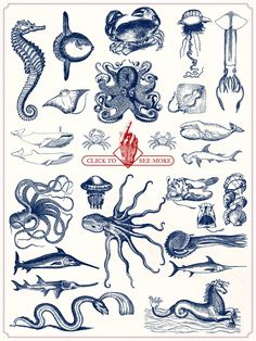 an image of sea animals and their names in blue ink on white paper with red border