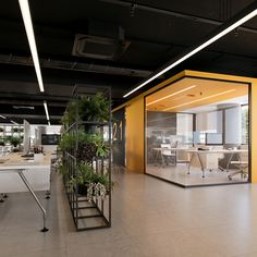 an open office with plants in the middle