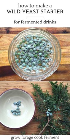 how to make a wild yeast starter for fermented drinks with rosemary and blueberries