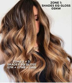 10wg Shades Eq, Brunette Formulas, Haircolor Formulas, Shades Formulas, Toning Hair, Redken Formulas, Toner Formulas, Blonde Hair For Brunettes, Golden Balayage