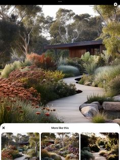 an image of a garden with many different types of flowers and plants on it, including shrubs