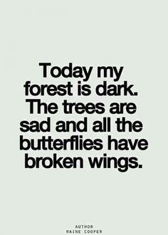 Broken Wings, Pretty Quotes, Thoughts Quotes