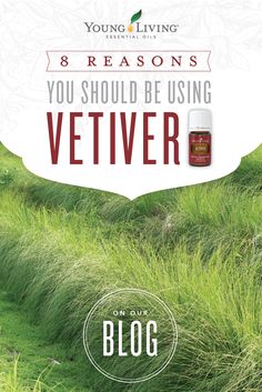 Useful Facts, Vetiver Oil, Essential Oil Education, Snoring Remedies, Oils For Sleep, Yl Essential Oils, Essential Oil Benefits