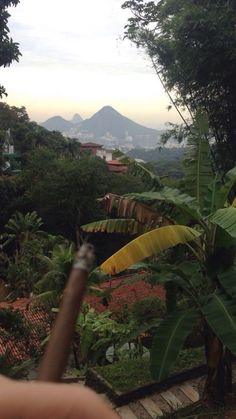 a person pointing at the camera in front of some trees and bushes with mountains in the background