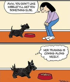 a comic strip with a dog eating out of a bowl