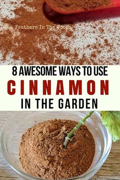 there are three different types of cinnamon in the garden