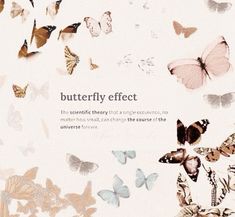 butterflies flying in the air with text underneath