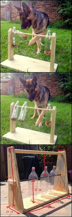 a dog jumping over a wooden ramp with bottles in it's mouth and on the ground