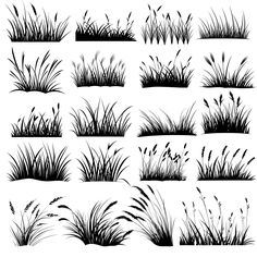 the silhouettes of different plants and grass