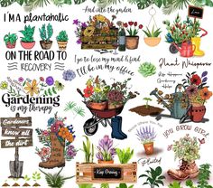 a bunch of plants that are on the side of a wall with words and pictures