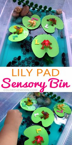 a child's hand is playing with water lilies and paper plates on the surface