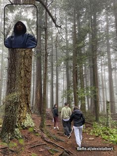 three people are walking in the woods near a tree with a mirror hanging from it's side