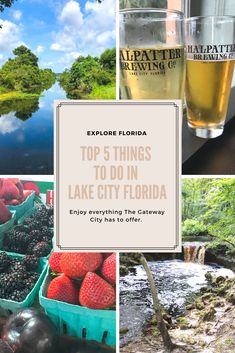 the top 5 things to do in lake city florida