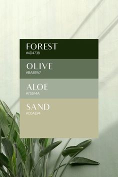 Brand Concept Board, Mockup Inspiration, Sage Color Palette, Earth Colour Palette, Colour Palette Inspiration, Green Branding, Instagram Branding Design, Green Color Schemes, Palette Inspiration